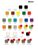 ספריי צבע לשימוש רב תכליתי האנטר - קרטון 12 יח